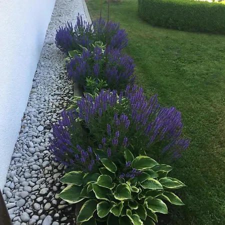 Anke * Bad Lippspringe